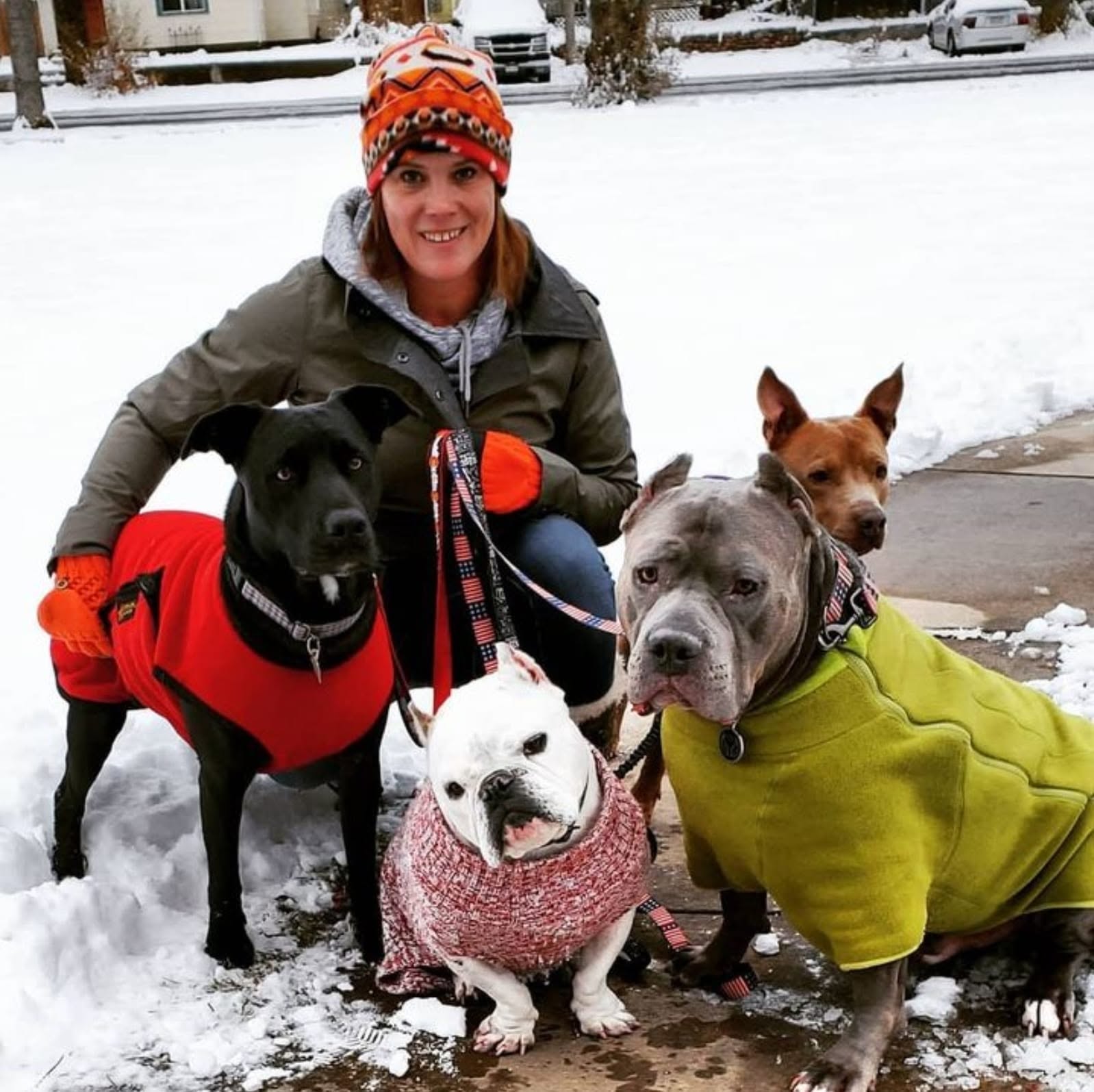 Meredith Trout with three rescue dogs in winter sweaters